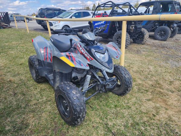 Avalanche Gray 2021 Polaris Phoenix 200