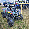 Avalanche Gray 2021 Polaris Phoenix 200